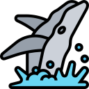 ballena icon