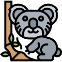 coala icon