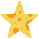 estrella de mar icon