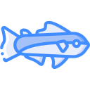 bacalao icon