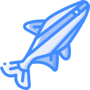 pez icon