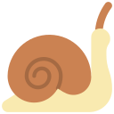 caracol