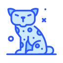 gato icon