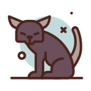 gato icon