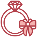 anillo icon