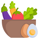 comida sana icon