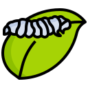 hoja icon