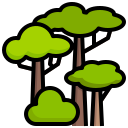 Árbol icon