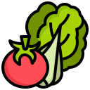 vegetal icon