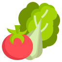 vegetal icon