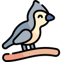 carbonero icon