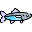 anchoa icon