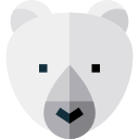 oso polar