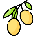 aceituna