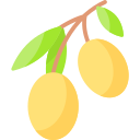 aceituna icon