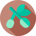 olivos icon