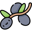 aceituna icon