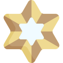 estrella icon