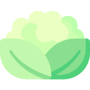 coliflor icon