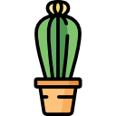 cactus icon