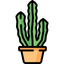 cactus icon