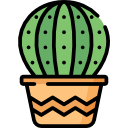 cactus icon