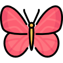 mariposa