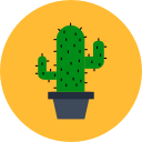 cactus icon