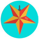 estrella icon