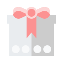 regalo icon