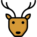 reh 
