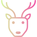 reh 