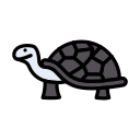 tortuga icon