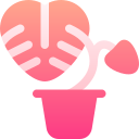 몬스테라 