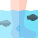 spa de peces icon