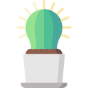 cactus icon