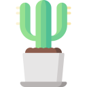 cactus icon