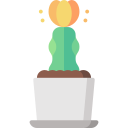 cactus luna icon