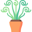 albuca frizzle chisporrotear icon