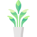 aglaonema icon