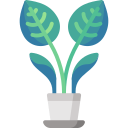 calathea de rayas icon