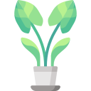 planta de punta de flecha icon