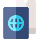 pasaporte icon