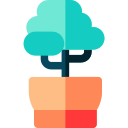 bonsai icon