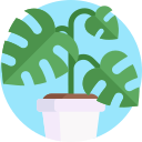 monstera icon