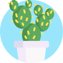 cactus icon