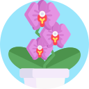 orquídea icon