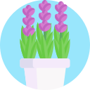 lavanda icon