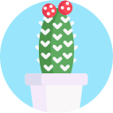 cactus icon