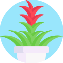 guzmania icon